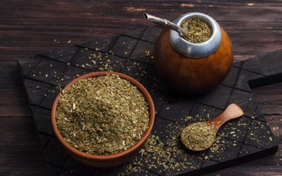 Dry yerba mate extract: where to use this product?