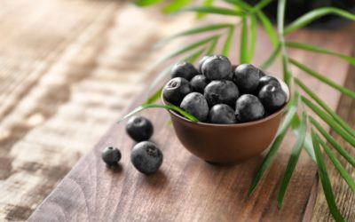 Frootiva® Co’s Antiox Acai Powder: 100% Natural and Rich in Antioxidants