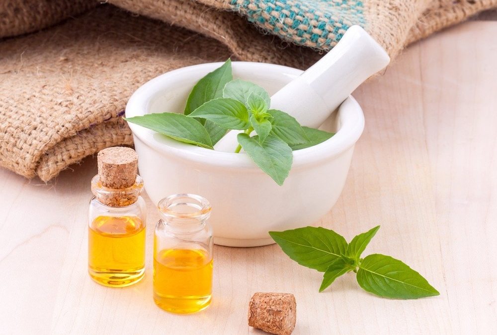 Dry extracts: essential inputs for the production of herbal medicines