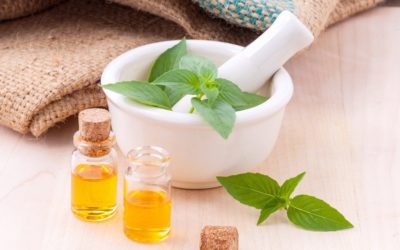 Dry extracts: essential inputs for the production of herbal medicines