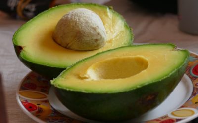 Avocado: how industries use the powdered version?