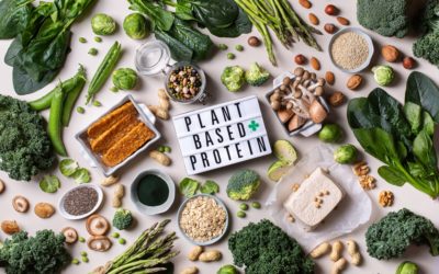Plant-Based: what does your company need to know?