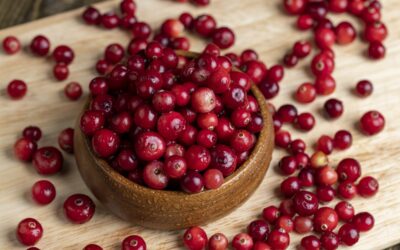 How Can Manufacturers Use Cranberry Powder?