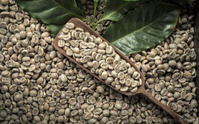 Green Coffee: A Powerful Food Antioxidant