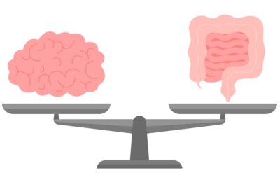 Understand the Relationship Between the Brain-Gut Connection and Food