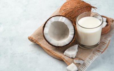 Coconut milk powder: a versatile solution for plant-based beverages, shakes, and ice cream