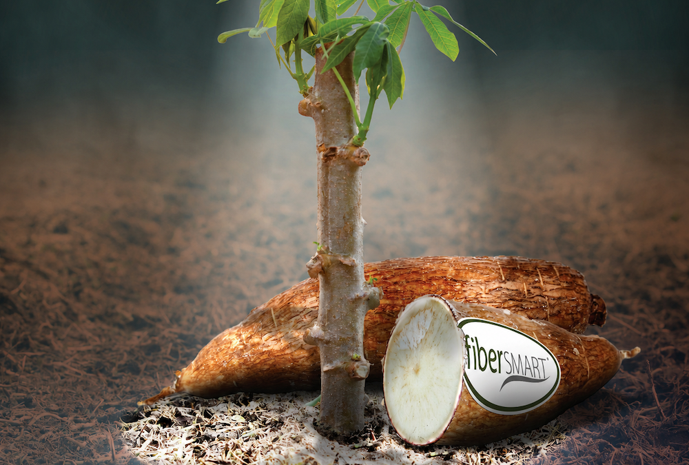Launch: the first cassava soluble fiber approved by Anvisa