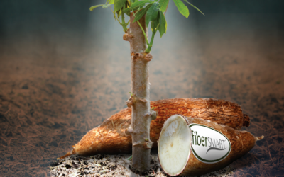 Launch: the first cassava soluble fiber approved by Anvisa